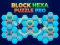 Block Hexa Puzzle Pro