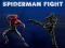 Spiderman Fight
