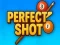 Perfect Shot
