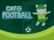 Cat Football