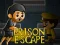Prison Escape