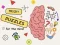 Brain Puzzles Quests