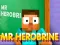 Mr Herobrine