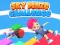 Sky Maze Challenge