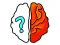 Brain Out