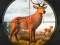 Wild Animal Hunting