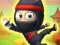 Ninja Ascend