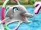 My Dolphin Show 7