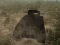 Tank Battle