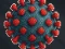 The Coronavirus Game