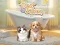 Pet Salon