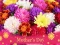 2019 Mother's Day Puzzle