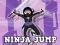 Ninja Jump