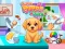 Cute Puppy Care