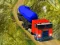 Indian Cargo Truck Simulator