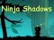 Ninja Shadows