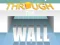 Through The Wall