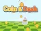 Coin & Dash