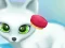 Paws to Beauty Arctic Edition