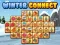 Winter connect