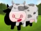 Animal Guessing
