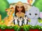 Moana Cute Zoo