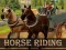 Horse Riding Simulator