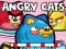 Angry Cats