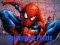 Spiderman Puzzle