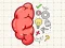 Brain Tricky Puzzles