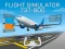 Flight Simulator 737-800