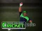 Cricket Fielder Challenge