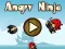 Angry Ninja