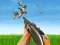 Bird Hunting