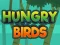 Hungry Birds