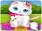 Vet Cat Clinic