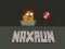 NaxRun