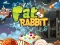 Fat Rabbit