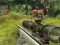 Stag Hunt