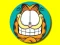 Hidden Stars Garfield