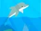 Dolphin Life
