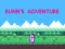 Bunn's Adventure