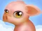 Block the Pig