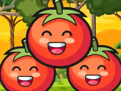 Tomato Ketchup