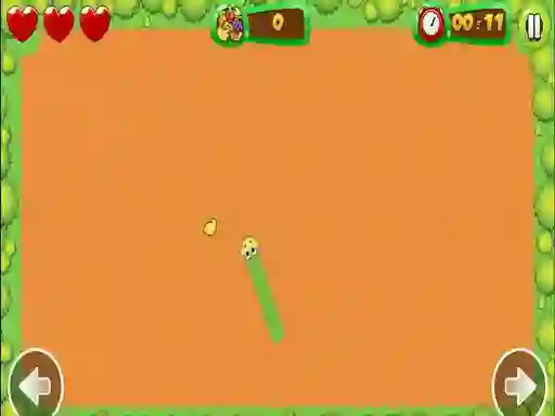 Fruit Snake