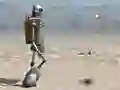 Automaton 2015