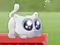 Extreme Kitten