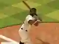 Baseball Pro