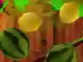 Fruit Break