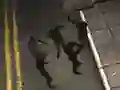 Zombie Reborn